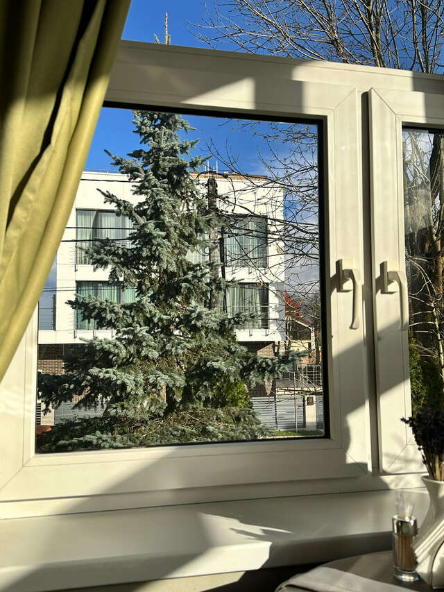 Гостевой дом Кошкин дом Зеленоградск-133