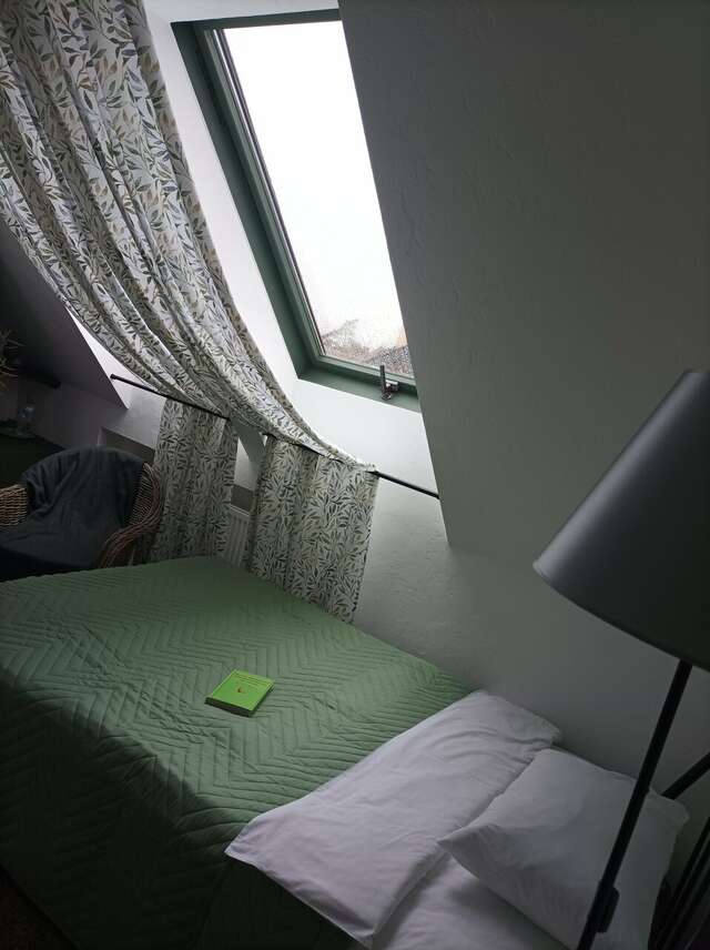 Гостевой дом Кошкин дом Зеленоградск-245