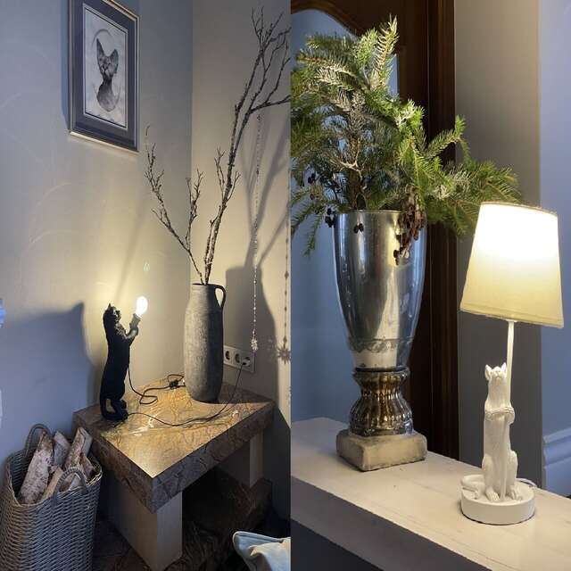 Гостевой дом Кошкин дом Зеленоградск-74