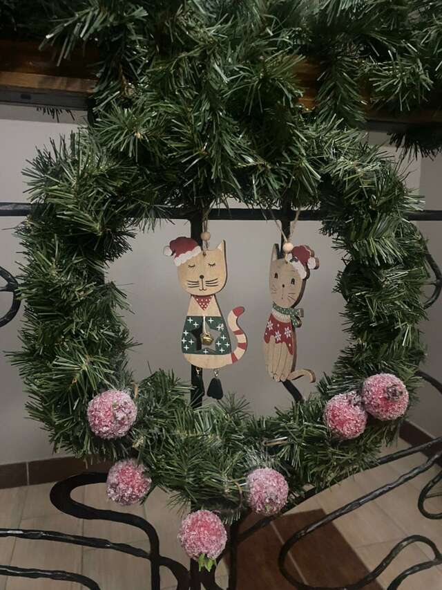 Гостевой дом Кошкин дом Зеленоградск-145