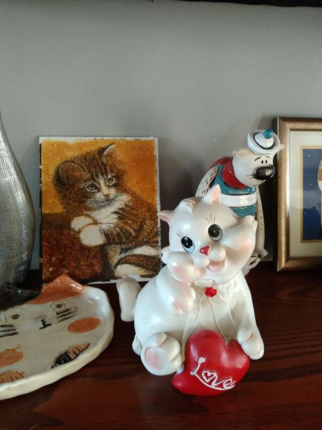 Гостевой дом Кошкин дом Зеленоградск-93