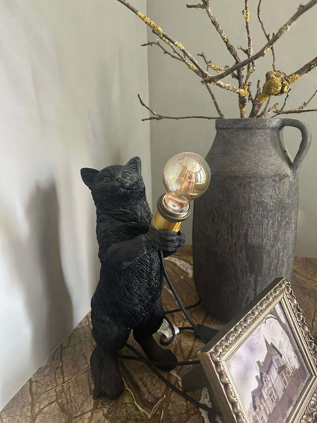 Гостевой дом Кошкин дом Зеленоградск-208